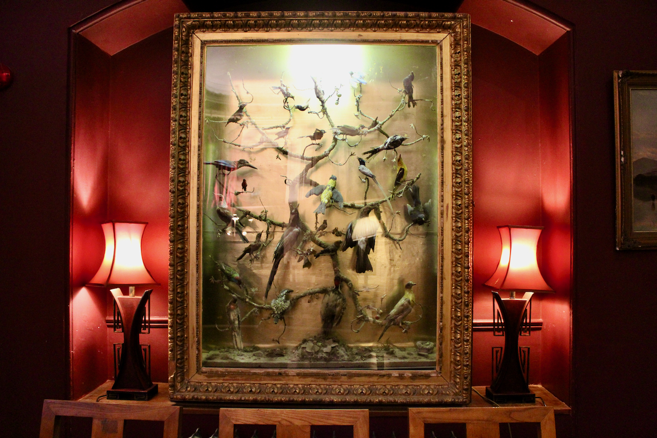 49394417598_c00d560572_o