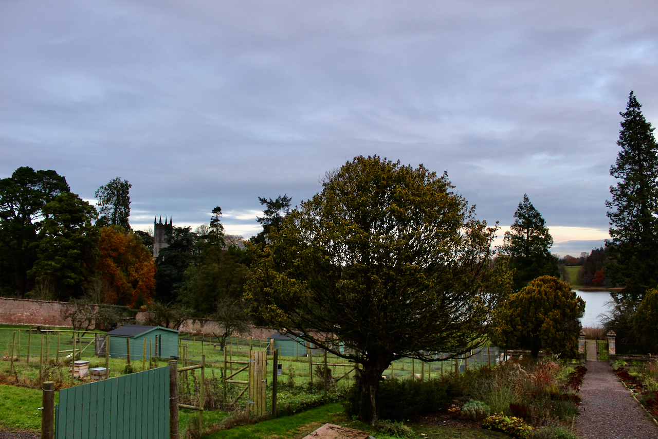 49394965401_a85013d342_o (1)